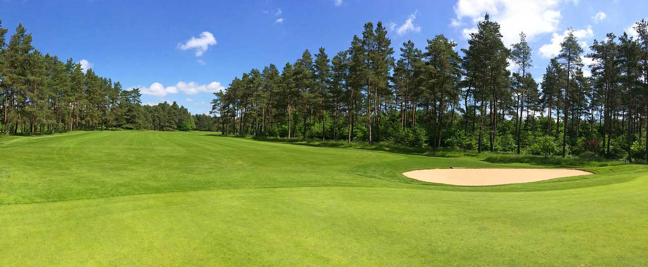 Golf course with sand trap and trees